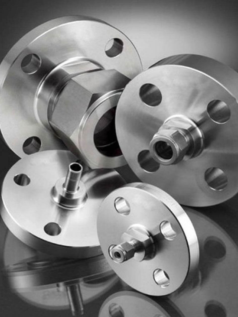 Stainless Steel 304L Flanges